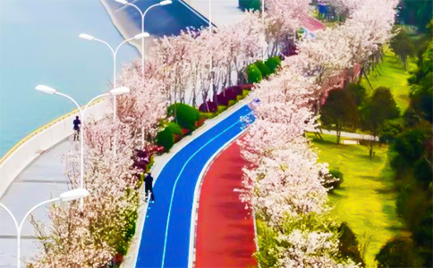 杭州钱塘江塑胶跑道